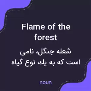 معنی flame of the forest به فارسی