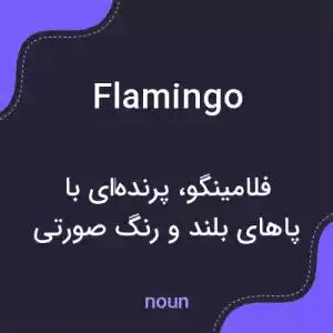 معنی flamingo به فارسی معنی flamingo به فارسی