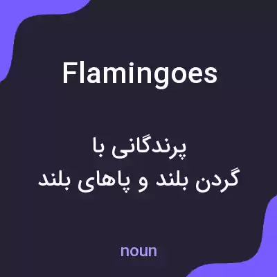 معنی flamingoes به فارسی معنی flamingoes به فارسی