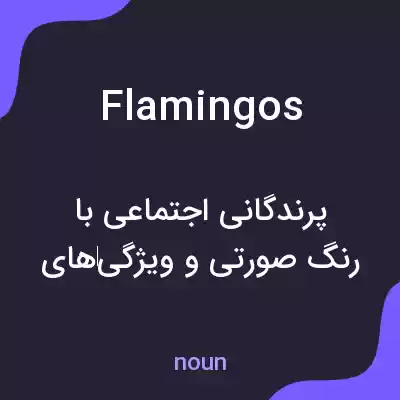 معنی flamingos به فارسی