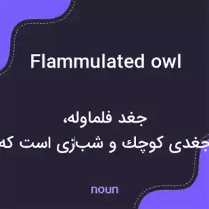 معنی flammulated owl به فارسی معنی flammulated owl به فارسی