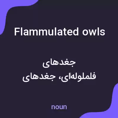 معنی flammulated owls به فارسی معنی flammulated owls به فارسی