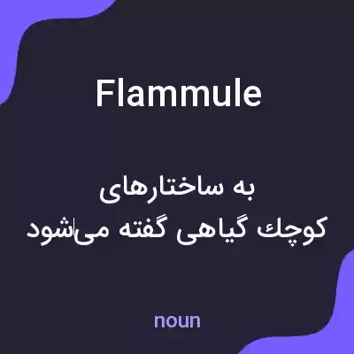معنی flammule به فارسی معنی flammule به فارسی