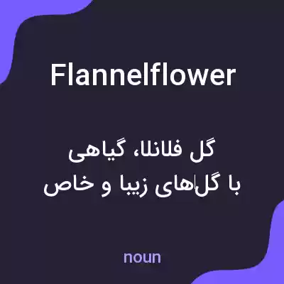 معنی flannelflower به فارسی معنی flannelflower به فارسی