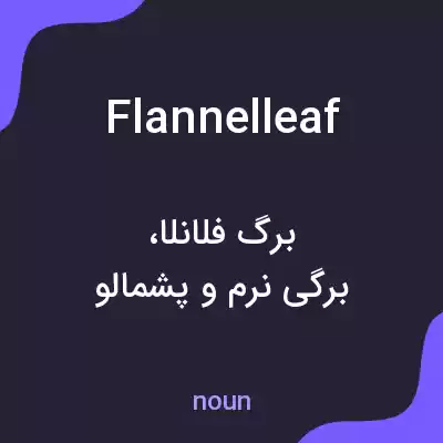 معنی flannelleaf به فارسی معنی flannelleaf به فارسی