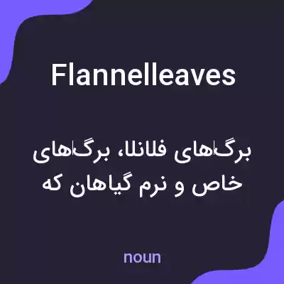 معنی flannelleaves به فارسی معنی flannelleaves به فارسی