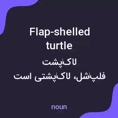 معنی flap-shelled turtle به فارسی معنی flap-shelled turtle به فارسی