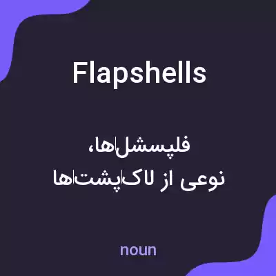 معنی flapshells به فارسی
