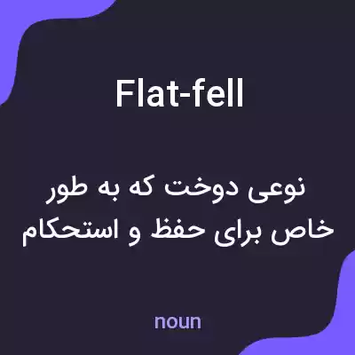 معنی flat-fell به فارسی معنی flat-fell به فارسی