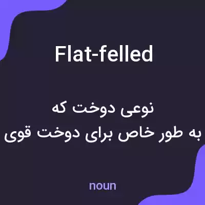 معنی flat-felled به فارسی معنی flat-felled به فارسی