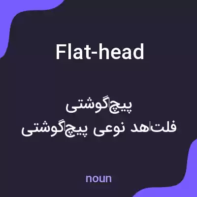 معنی flat-head به فارسی معنی flat-head به فارسی