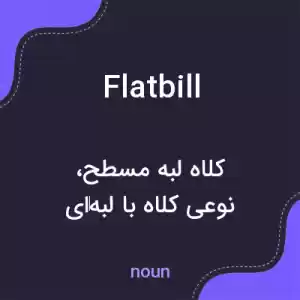 معنی flatbill به فارسی معنی flatbill به فارسی