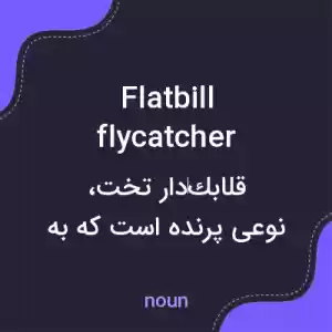 معنی flatbill flycatcher به فارسی معنی flatbill flycatcher به فارسی