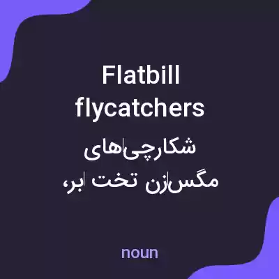 معنی flatbill flycatchers به فارسی