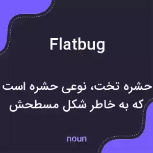 معنی flatbug به فارسی معنی flatbug به فارسی