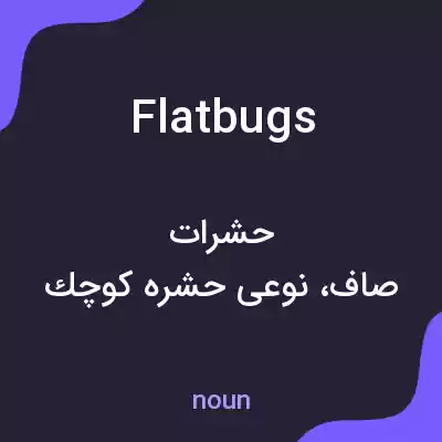 معنی flatbugs به فارسی معنی flatbugs به فارسی
