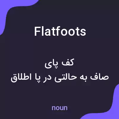 معنی flatfoots به فارسی معنی flatfoots به فارسی