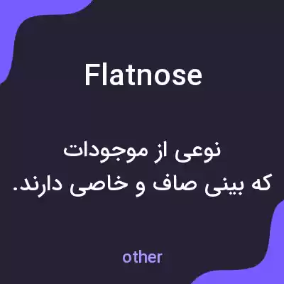 معنی flatnose به فارسی معنی flatnose به فارسی