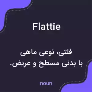 معنی flattie به فارسی معنی flattie به فارسی