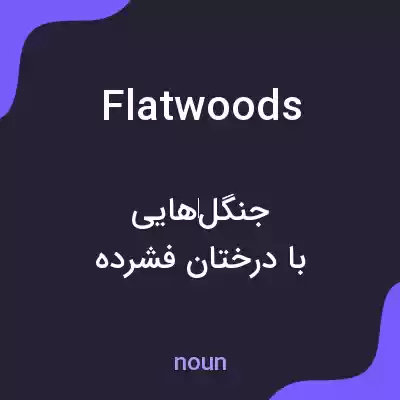 معنی flatwoods به فارسی معنی flatwoods به فارسی