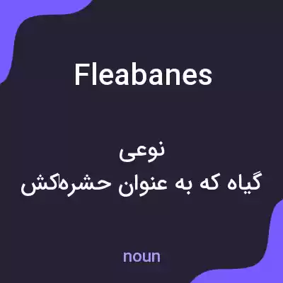 معنی fleabanes به فارسی معنی fleabanes به فارسی