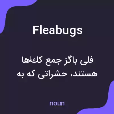 معنی fleabugs به فارسی معنی fleabugs به فارسی