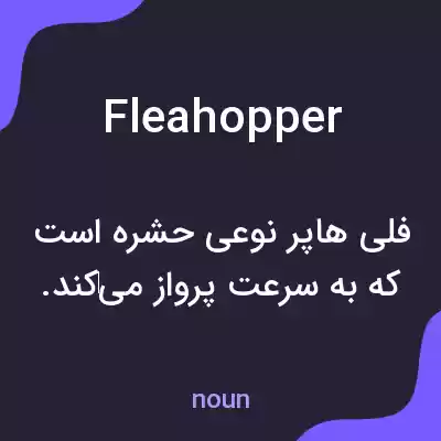 معنی fleahopper به فارسی معنی fleahopper به فارسی