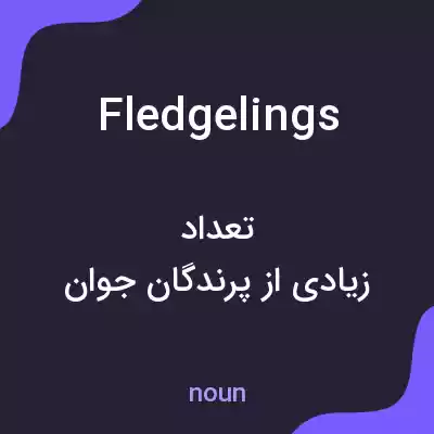 معنی fledgelings به فارسی معنی fledgelings به فارسی