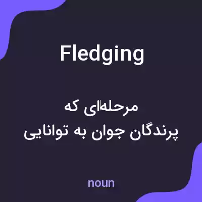 معنی fledging به فارسی معنی fledging به فارسی