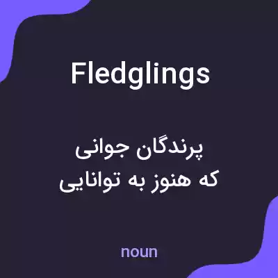 معنی fledglings به فارسی معنی fledglings به فارسی