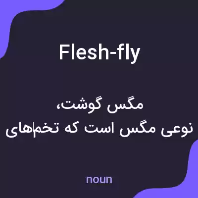 معنی flesh-fly به فارسی معنی flesh-fly به فارسی