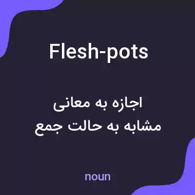 معنی flesh-pots به فارسی معنی flesh-pots به فارسی