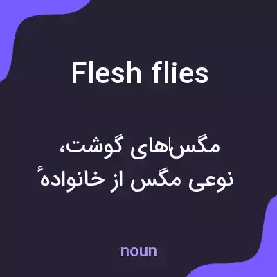معنی flesh flies به فارسی معنی flesh flies به فارسی
