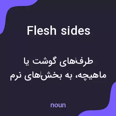 معنی flesh sides به فارسی معنی flesh sides به فارسی