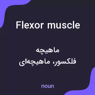 معنی flexor muscle به فارسی معنی flexor muscle به فارسی