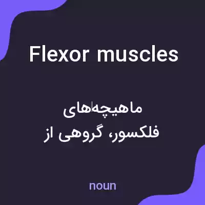 معنی flexor muscles به فارسی معنی flexor muscles به فارسی