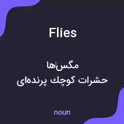 معنی flies به فارسی معنی flies به فارسی