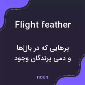 معنی flight feather به فارسی معنی flight feather به فارسی
