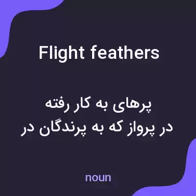 معنی flight feathers به فارسی معنی flight feathers به فارسی