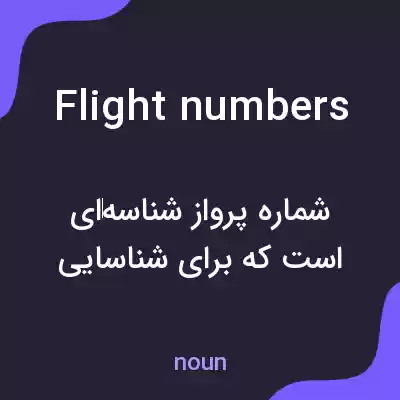 معنی flight numbers به فارسی