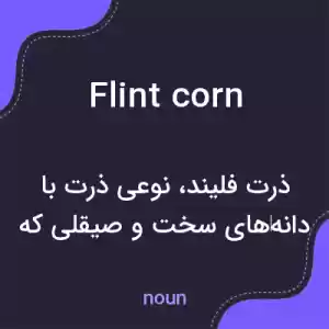 معنی flint corn به فارسی
