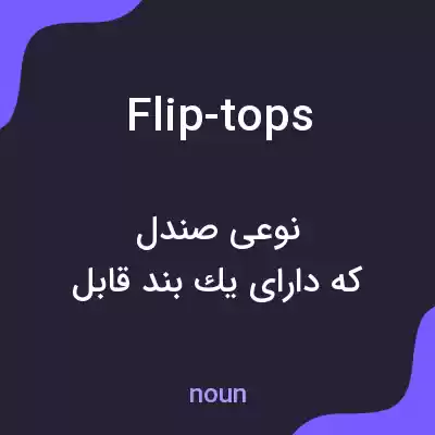 معنی flip-tops به فارسی معنی flip-tops به فارسی