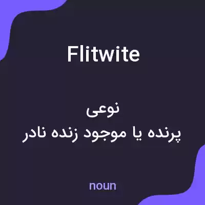 معنی flitwite به فارسی معنی flitwite به فارسی