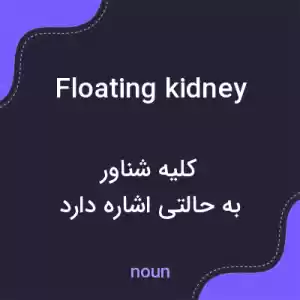 معنی floating kidney به فارسی معنی floating kidney به فارسی