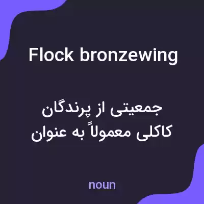معنی flock bronzewing به فارسی معنی flock bronzewing به فارسی