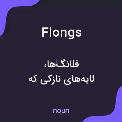 معنی flongs به فارسی معنی flongs به فارسی