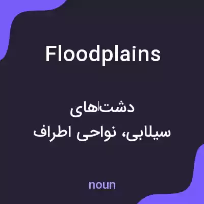 معنی floodplains به فارسی معنی floodplains به فارسی
