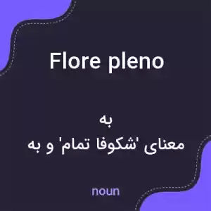 معنی flore pleno به فارسی معنی flore pleno به فارسی