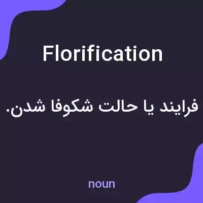 معنی florification به فارسی