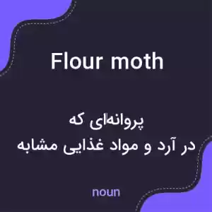 معنی flour moth به فارسی معنی flour moth به فارسی